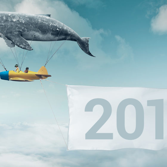 Whale Plane Carrying Banner 2017