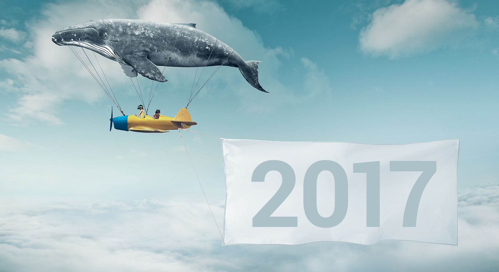 Whale Plane Carrying Banner 2017